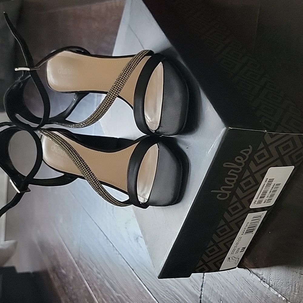 Charles Elegant Black and Silver Heels